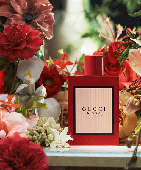 gucci ambrosia di fiori douglas|gucci bloom accord.